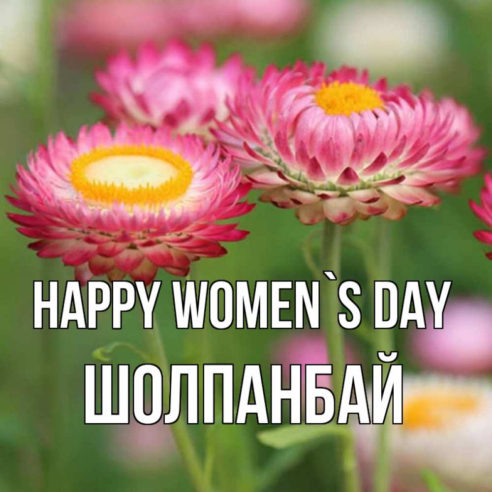 Greetings card с именем, ШОЛПАНБАЙ happy women`s day подарок на международный женский день Greetings with text for free download 